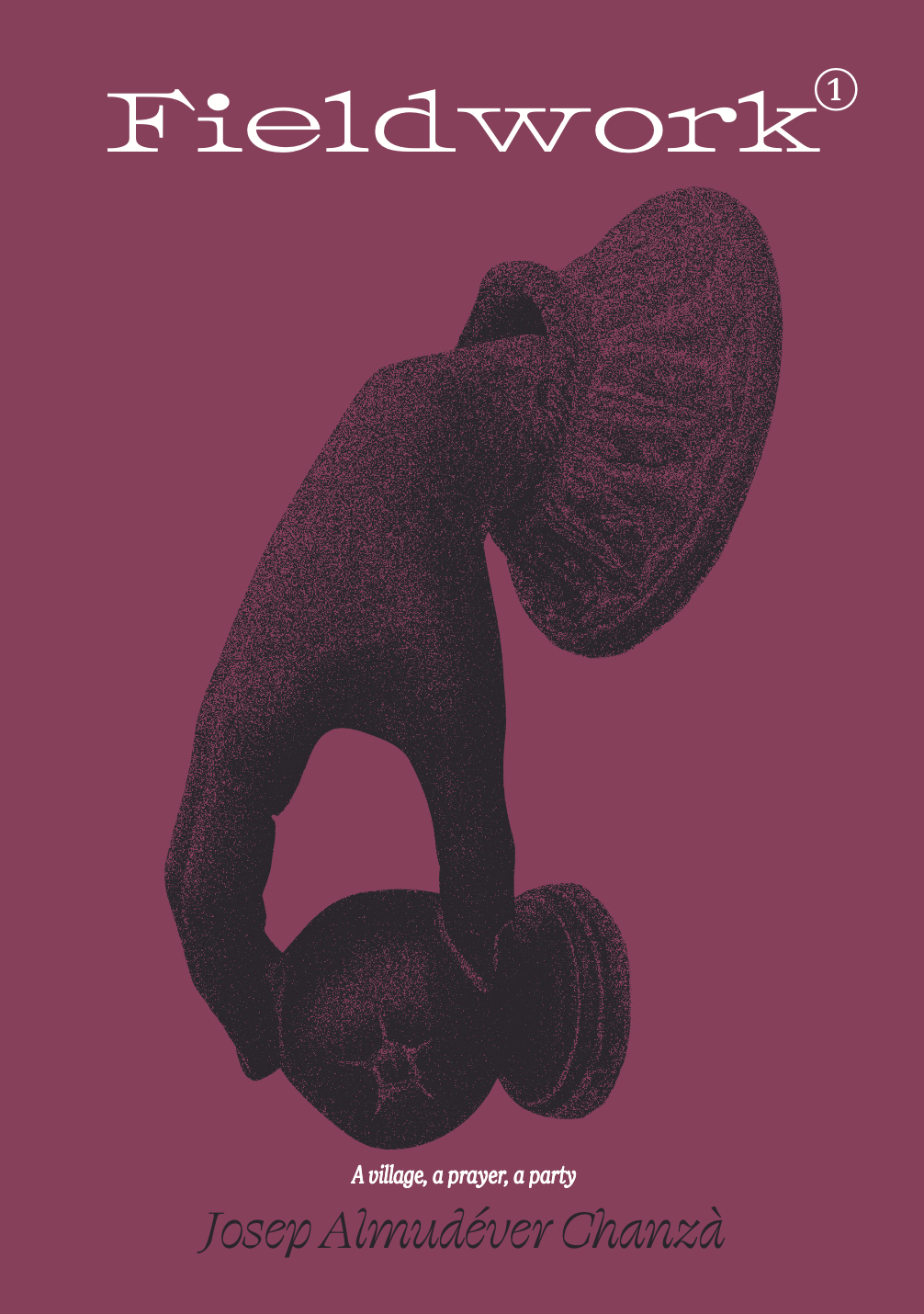 Fieldwork zine cover